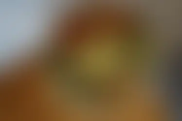 3 paradas imprescindibles en Madrid para celebrar el Día del Picante