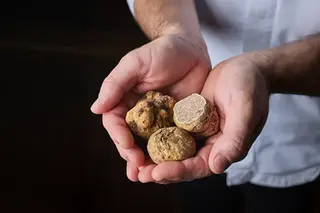 Lujo efímero: dónde comer la auténtica Trufa Blanca de Alba este invierno