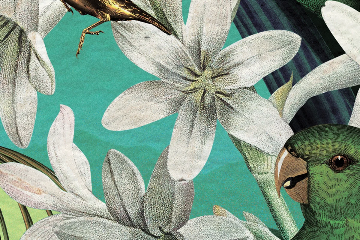 La nueva era de la perfumería nicho esta primavera