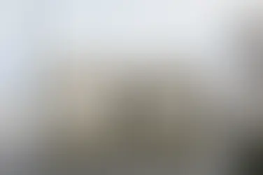 Exposiciones de arte en el verano de 2026