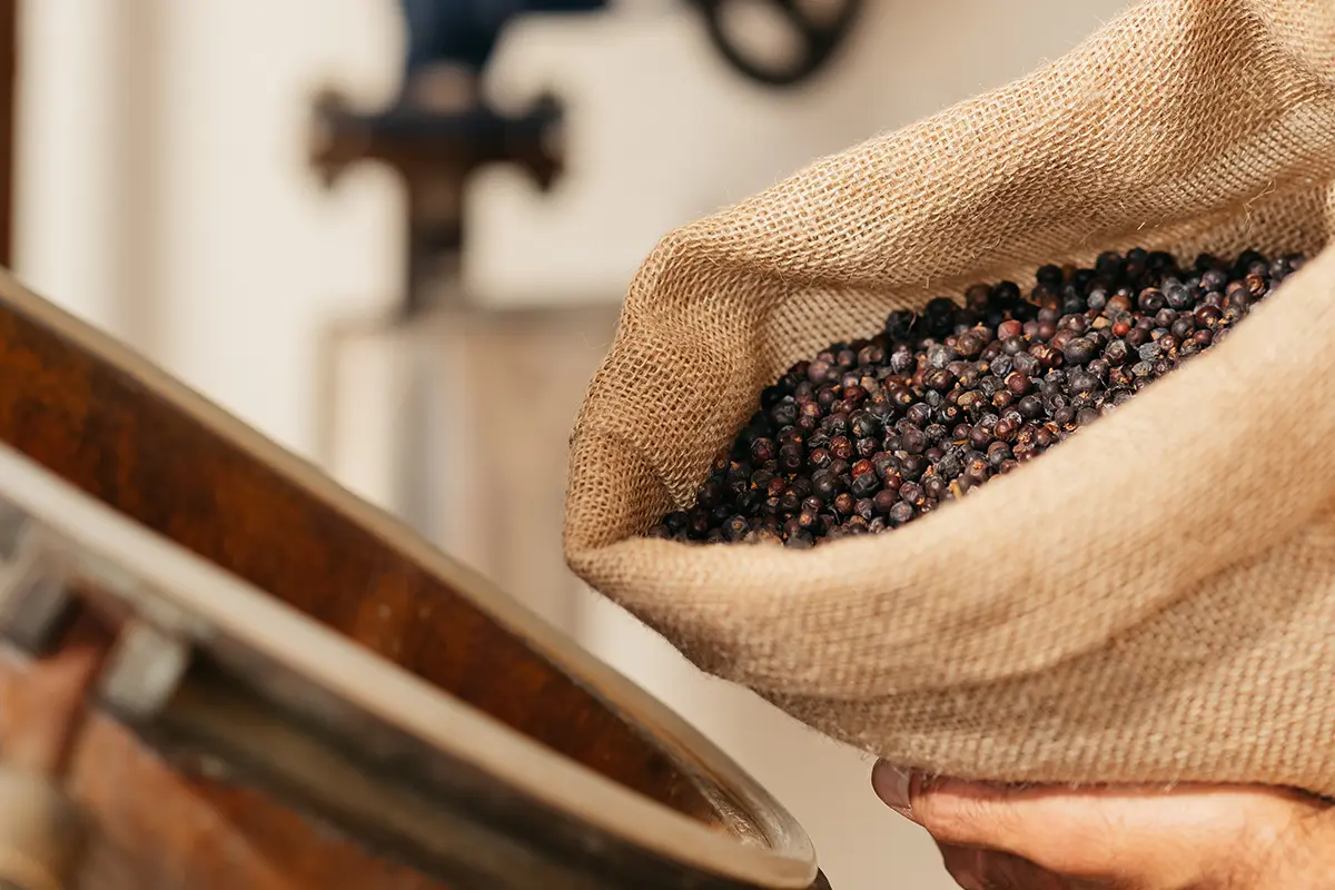 El Ritual del Perfect Serve: Arte y Precisión con LE Tribute