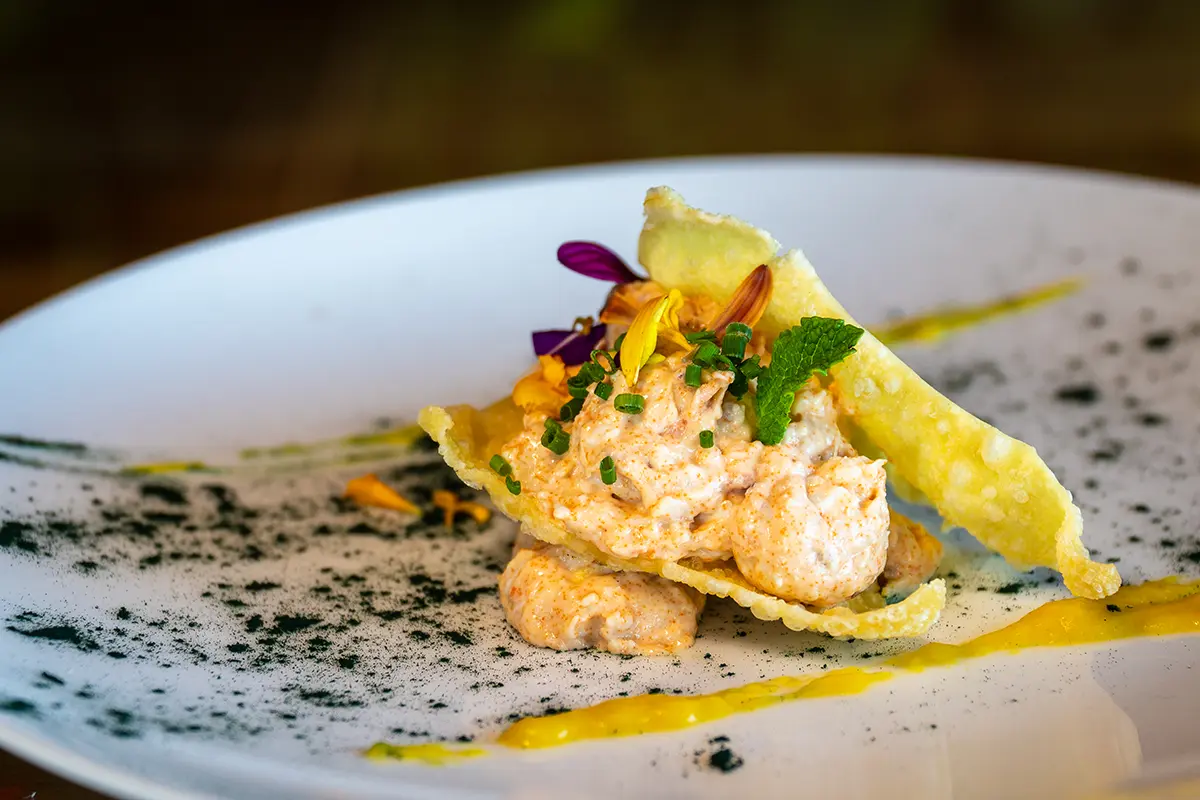 The Observatory - Hotel Puerta America