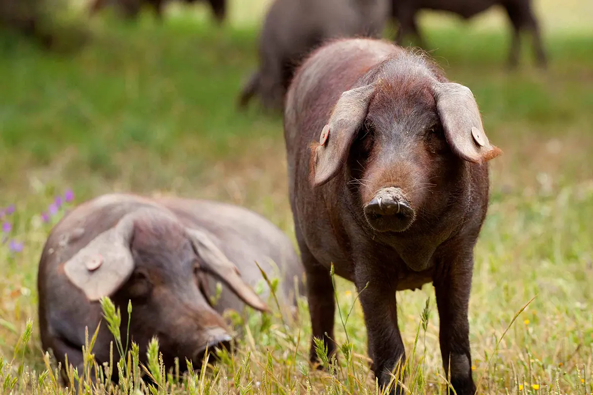 Experiencias únicas para esta Semana Santa