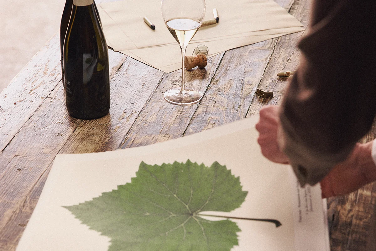 Así es la nueva añada Brut Nature de Louis Roederer