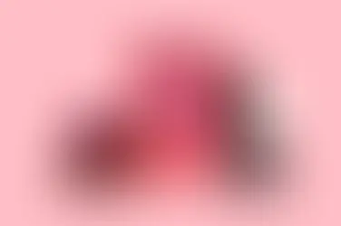 Estas son tus primeras compras navideñas