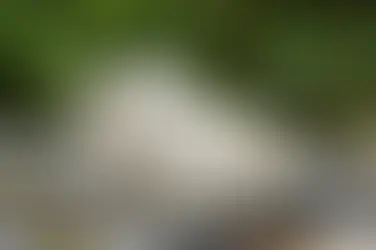 Cuatro firmas de calzado transpirable que combinan tecnología, comodidad y estilo este verano