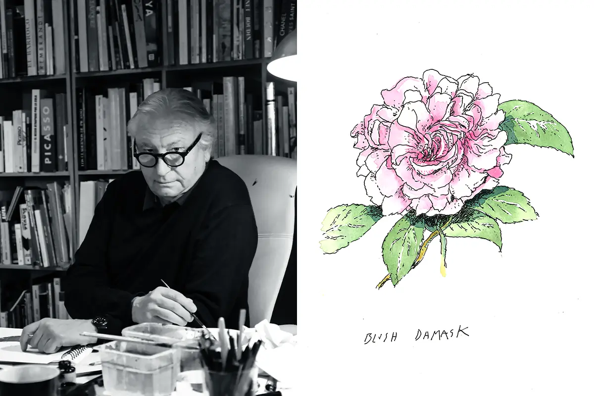 Chanel trae nuevas rosas al Jardín Botánico 