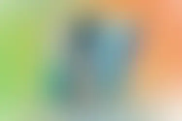 IQOS REMIX: diseño, música y experiencias para vivir el verano