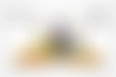 Sant Jordi y el Día del Libro: la fiesta de la lectura toma las calles con novedades