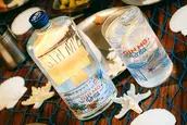 Día Mundial de la Ginebra: marcas premium, propuestas e ideas para celebrarlo