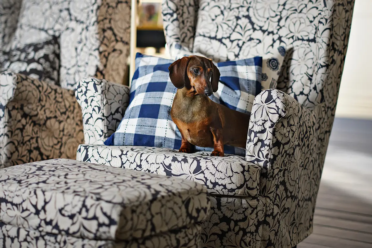 Esta es la gift list para los amantes de la decoración 