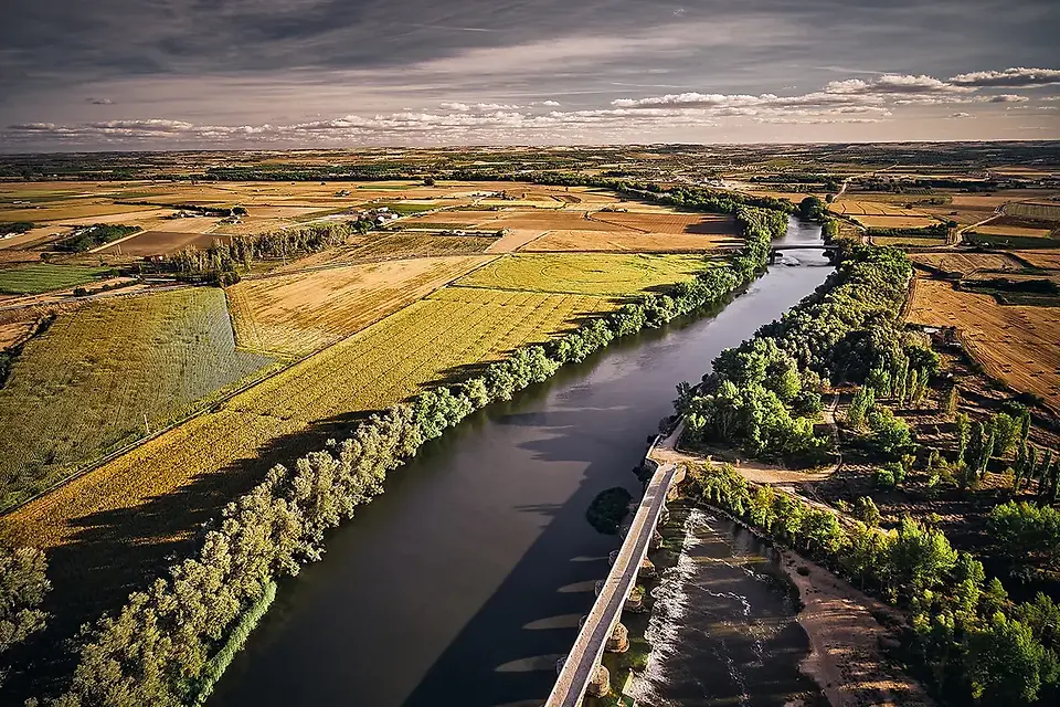 Bodegas Frontaura & Victoria