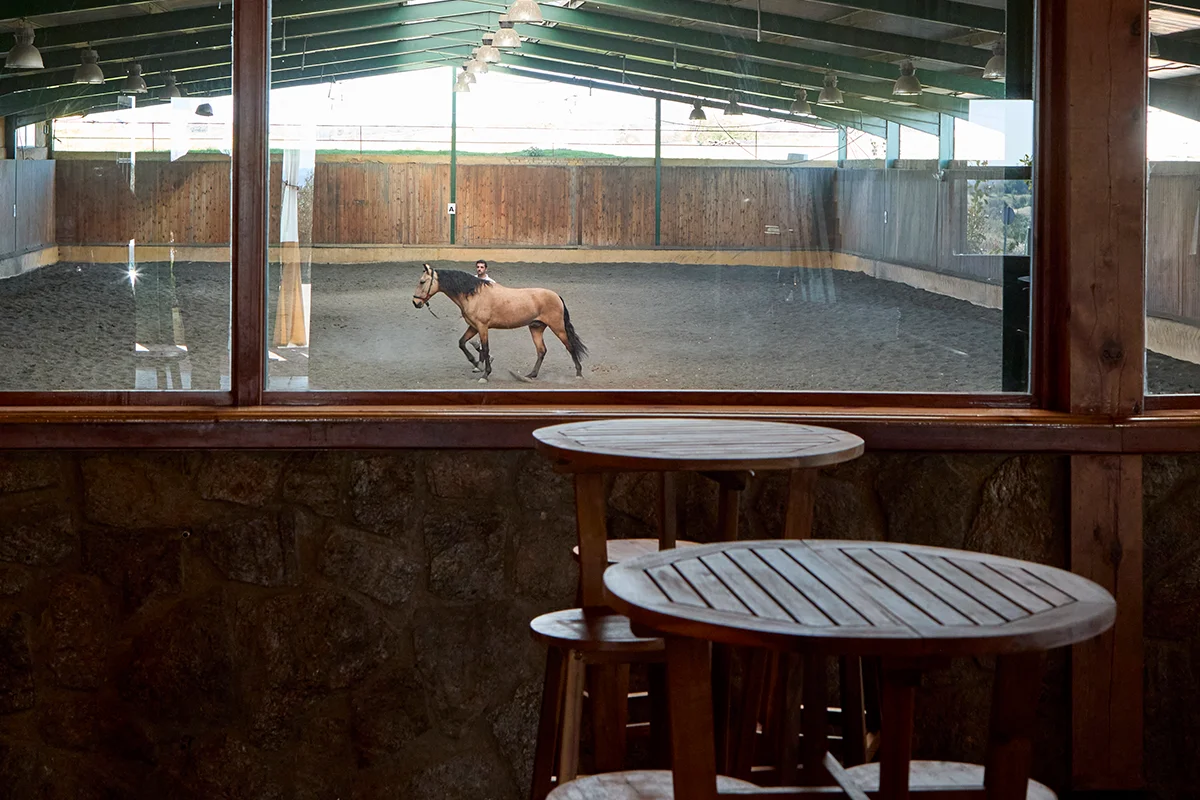 La Hípica   La Hípica estrena terraza y lo hace con la idea de convertir las noches de verano en un plan que se alarga sin mirar el reloj. Rodeado de caballos y con vistas abiertas a la ciudad a lo lejos, este espacio en plena naturaleza se siente como una escapada rápida sin necesidad de irse demasiado lejos. El sonido del campo, las mesas al aire libre y una brasa que funciona como núcleo de la experiencia, con el fuego como hilo conductor de una propuesta donde el producto manda, lo cambian todo. La cocina gira en torno a carnes seleccionadas y cortes premium como vaca vieja, buey o rubia gallega, junto a piezas pensadas para compartir como chuletón, tomahawk o rib eye, además del cordero lechal en distintas elaboraciones, desde asado hasta chuletitas a la parrilla. Todo se cocina con respeto al producto y a la técnica, apostando por el sabor directo y reconocible de la leña y el carbón.   