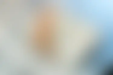 La nueva cita de Fondo Wine School para consumidores conscientes