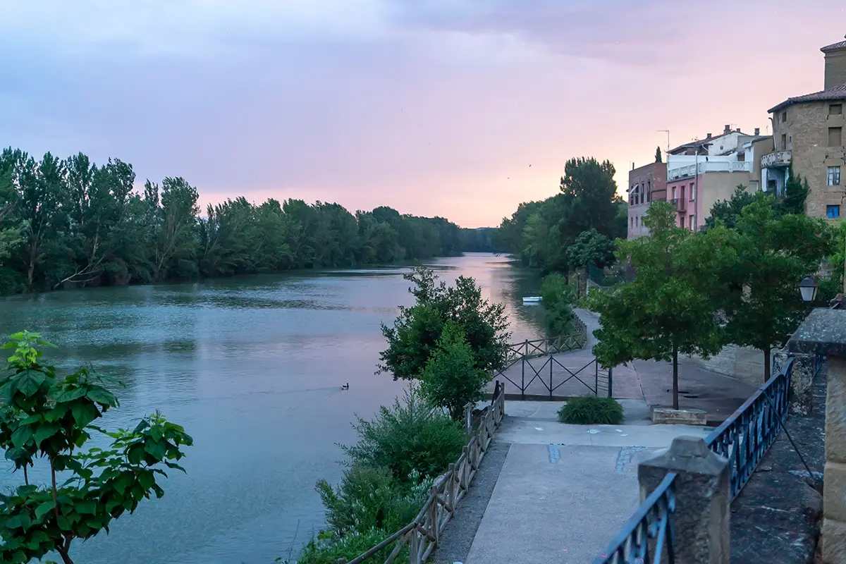 Blancos que hablan de Rioja