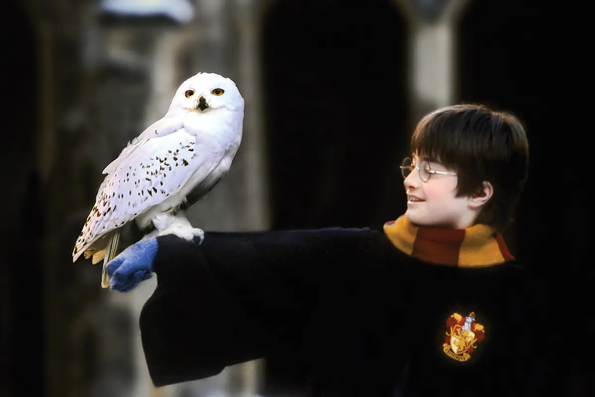 Harry Potter en Madrid