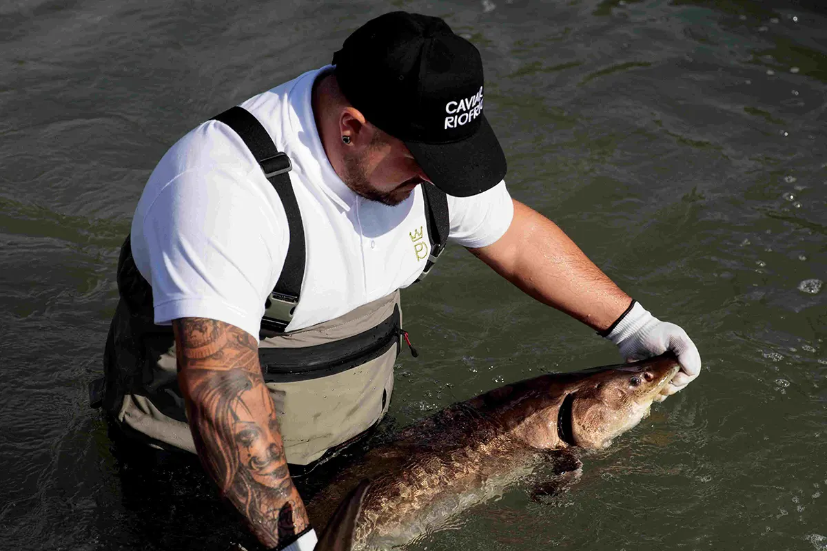 Experiencias únicas para esta Semana Santa