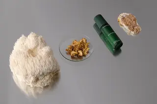 La firma de skincare que cultiva sus propios ingredientes en una granja vertical