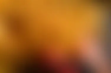 Ruta de patatas fritas en Madrid