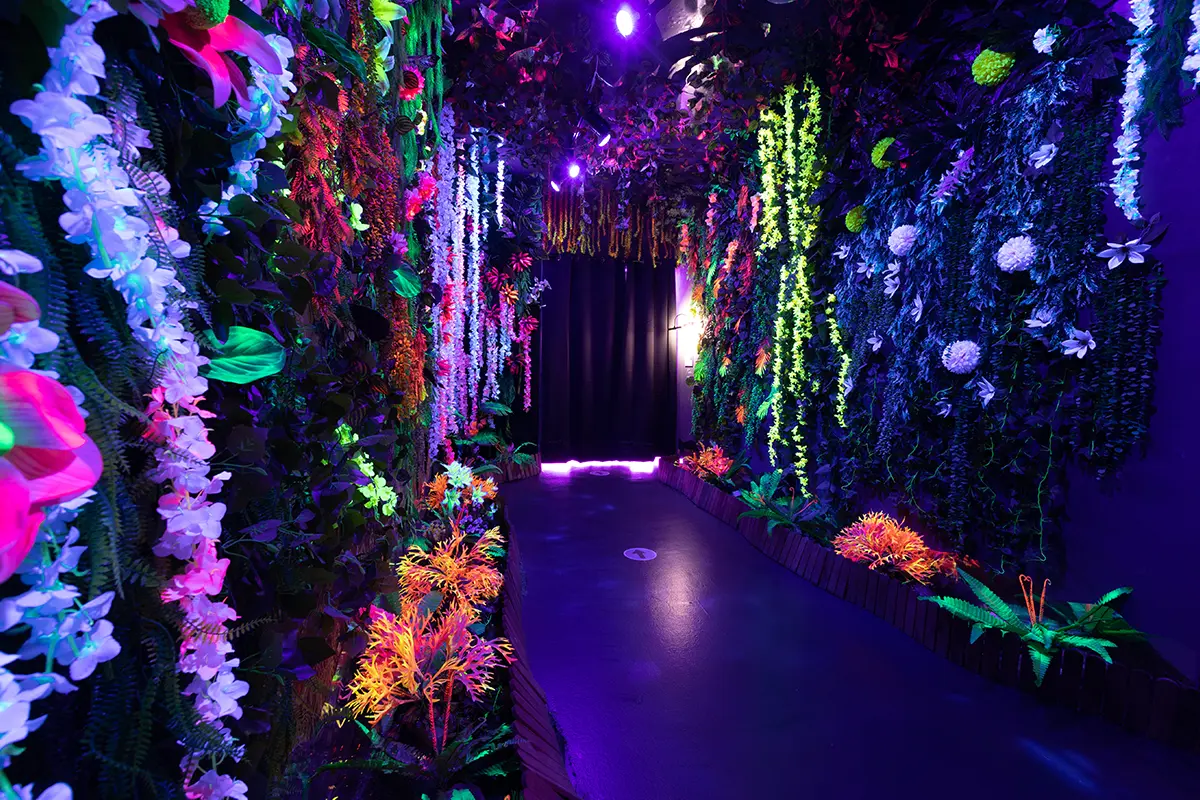 Espacios inmersivos en Madrid con arte, tecnología y bienestar 