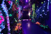 Espacios inmersivos en Madrid con arte, tecnología y bienestar