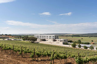 "Vino" para quedarse... (En un Eurostars)