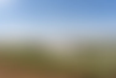 "Vino" para quedarse... (En un Eurostars)