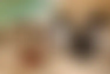 La nutricosmética se corona como el aliado 'beauty' definitivo para el verano