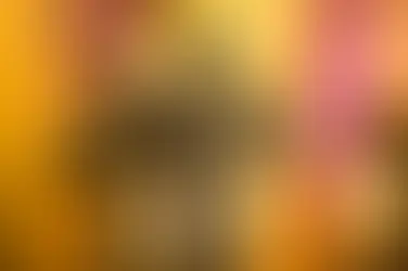 La resaca de los Oscar: dónde ver las películas ganadoras