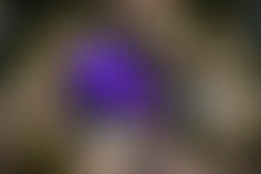 Un plan de película para las noches de verano