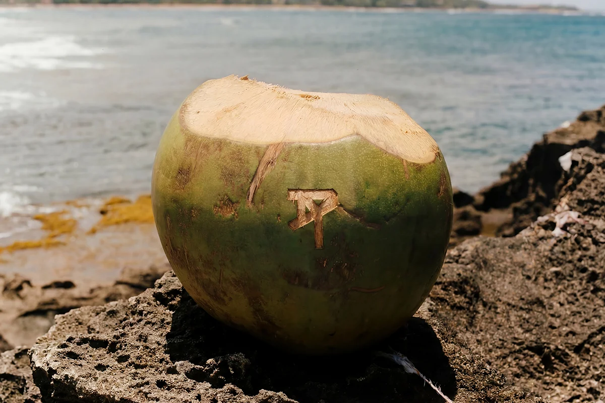 “Un verano en NUEVAYoL”… con Benito aterrizando en España. Coincidiendo con el arranque de sus conciertos en España, la marca de Inditex lanza BENITO ANTONIO, una cápsula de casi 150 piezas que traduce el universo estético del artista puertorriqueño a prendas pensadas para el día a día. Oversize, sastrería relajada, camisetas gráficas, bermudas amplias, bandanas y tejidos ligeros forman parte de una propuesta que bebe directamente de Puerto Rico y de esa manera despreocupada —pero muy medida— de vestir que define a Benito. Lejos de parecer el típico merchandising de gira, la colección funciona como una extensión real de su estilo personal: colores vibrantes, siluetas cómodas y ese punto entre urbano y nostálgico que domina también sus últimos trabajos musicales. Además, llega en uno de los momentos de mayor locura, con fans agotando prendas en cuestión de horas y preparando looks para los conciertos de Madrid y Barcelona.