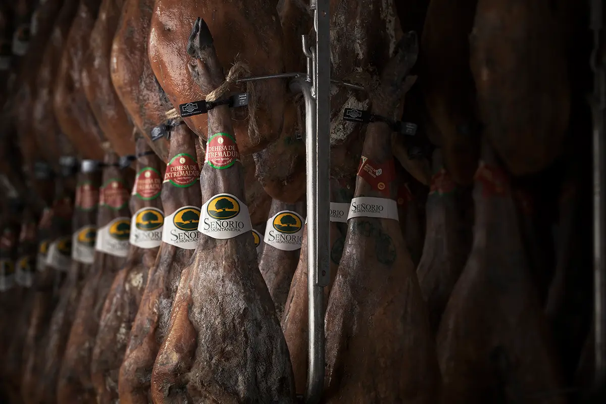 Guarro. Señorío de Montanera