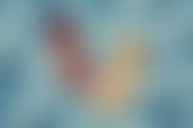 Gisou amplía su universo de brumas y aceite capilar con la miel como protagonista