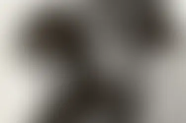 Vivir el cine donde nació la historia (vuelve Doctor Zhivago)