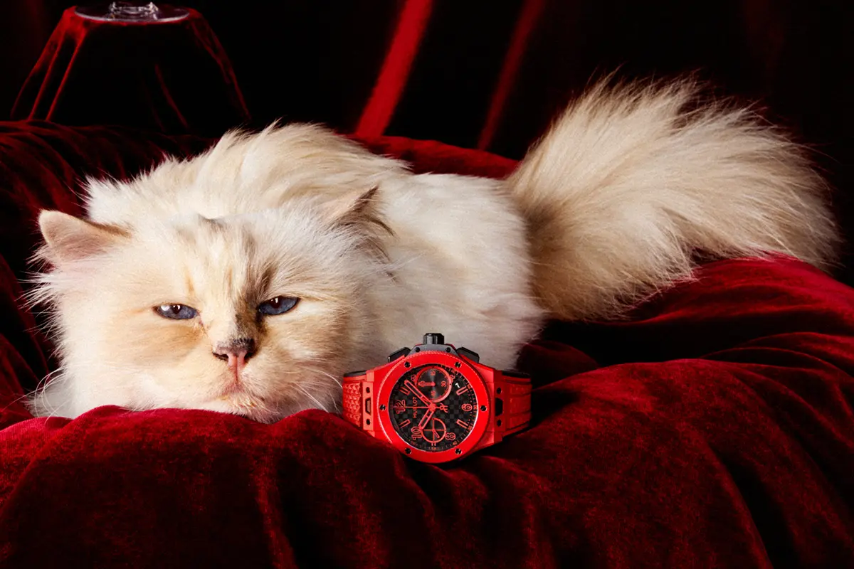 Choupette, la gata millonaria de Karl Lagerfeld (xHublot)