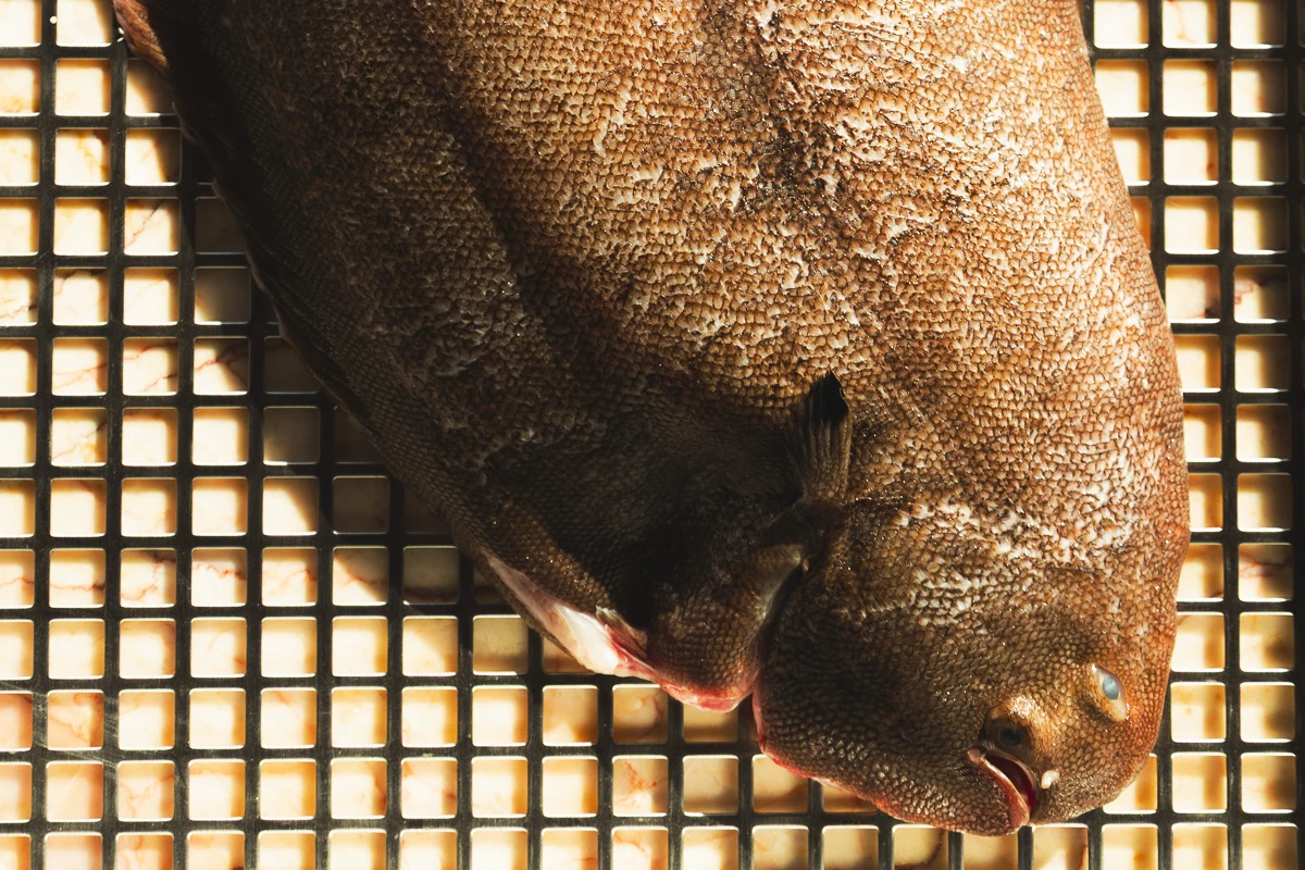 Makáá se estrena con fuego, producto y las mejores vistas de la capital