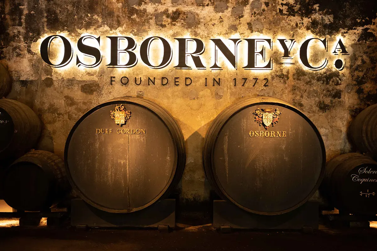 Mastermind - Entrevista a Rocío Osborne