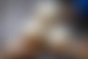 Ponche Caballero y Nolita se unen para revolucionar el clásico carajillo