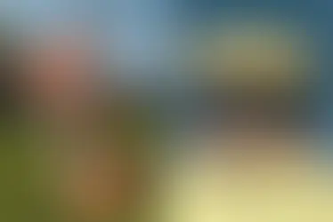 Cómo llevar zuecos con estilo todo el año