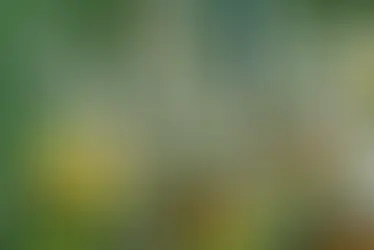 Madrid, capital del arte