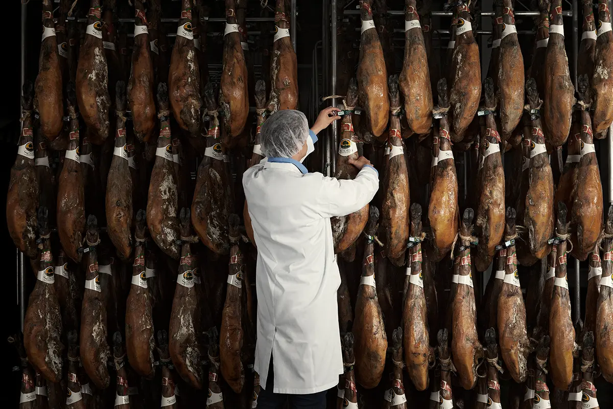 Guarro. Señorío de Montanera