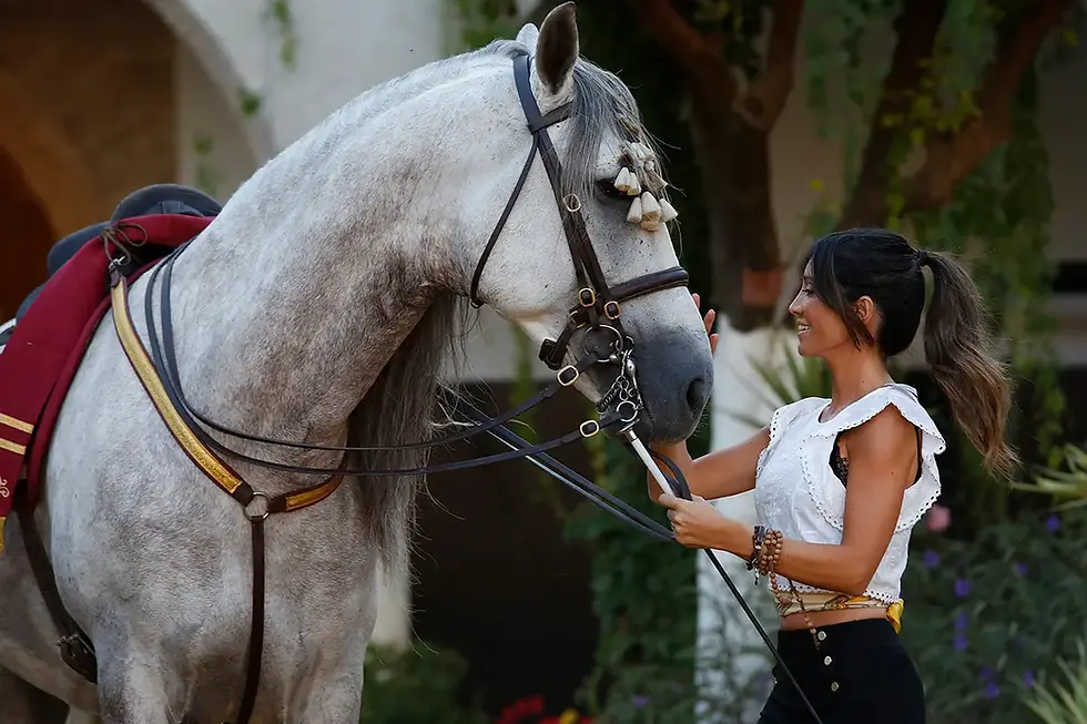 Desde enero y “a lomos” del mejor turismo