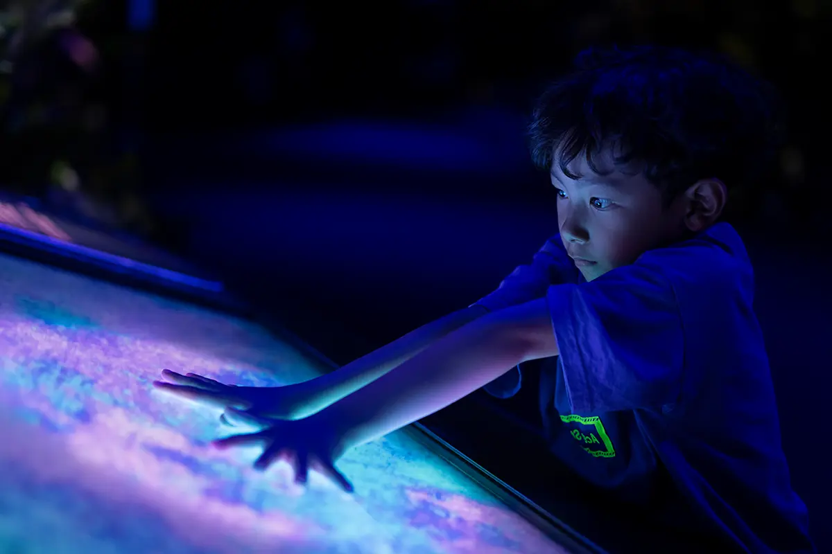 Avatar: The Experience llega a Madrid de la mano de Pandora y Disney