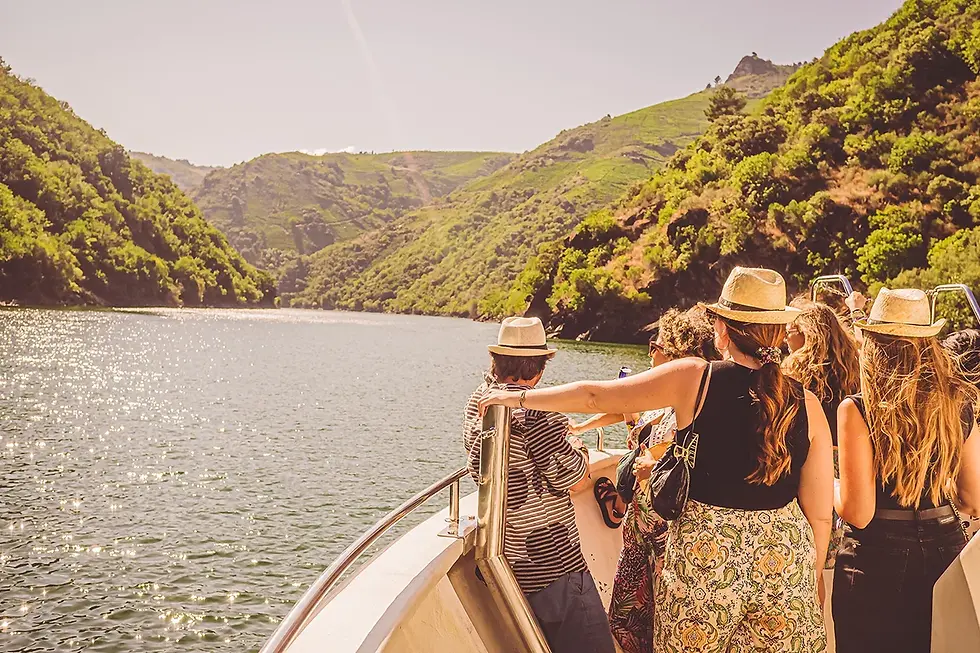 El vino como billete de viaje: Tres experiencias veraniegas que unen música, paisaje y tradición vitivinícola