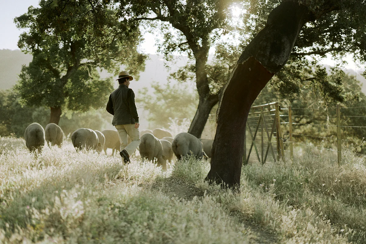 La Montanera llega a Madrid con Cachivache y Sánchez Romero Carvajal 