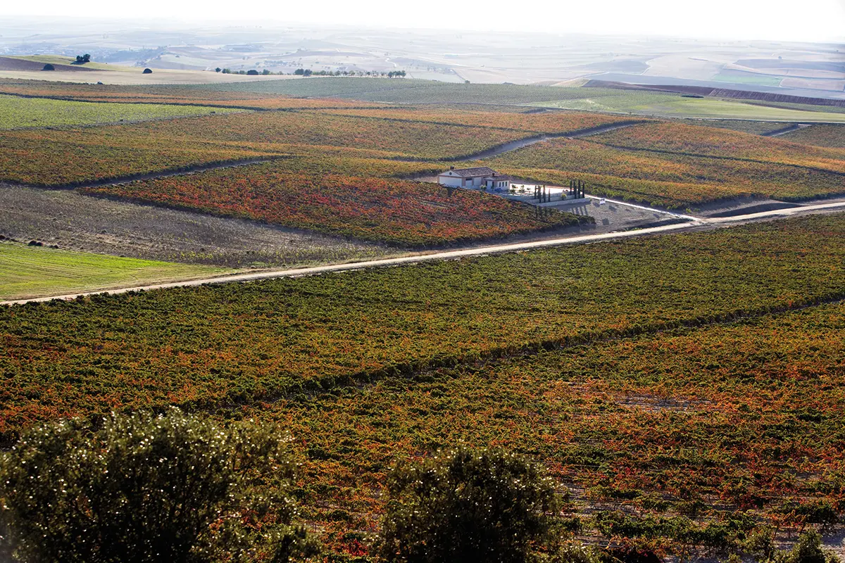 Bodegas Frontaura & Victoria