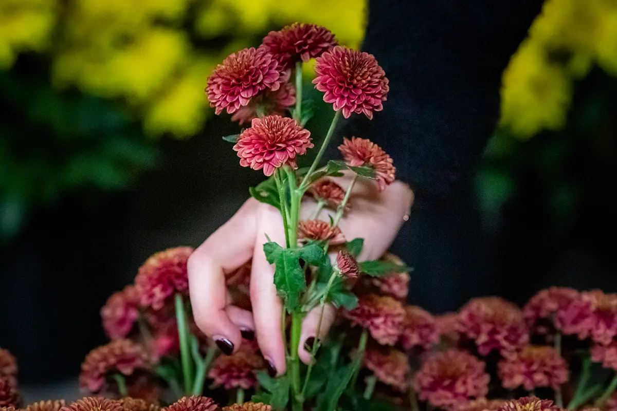 Fundación Casa de México celebra la primavera por todo lo alto