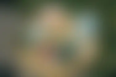 Guía de planes para celebrar el Día de la Tierra