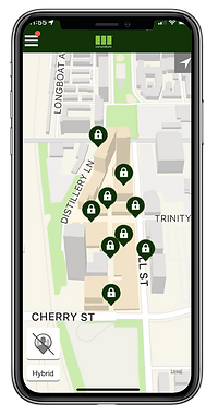 Distillery-District-Outdoor-Reveal-Team-Building.png
