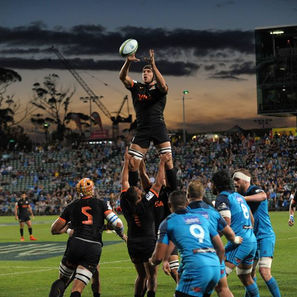 Jaguares que no saben defenderse